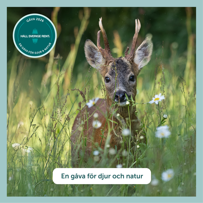 En gåva för naturen