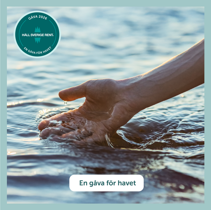 En gåva för havet