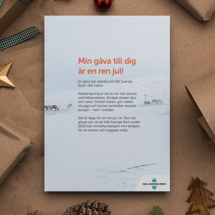 Motiv 2 - På fjället